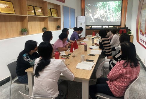 信息技术咨询服务助力党建学习——图书馆信息技术部党支部庆祝新中国成立70周年主题党日活动纪实